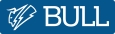 логотип бренда BULL