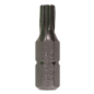 Бита для шуруповерта магнитная Torx T30 25 мм GEPARD 3 штуки (GP3513-25)