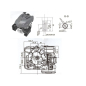 Двигатель (мотор) для газонокосилки ECO LG-735 DV196 (320019613100001)