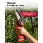 Пила цепная аккумуляторная WORTEX LX CEC 2518-1 XLT SET (1329493) - Фото 2
