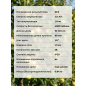 Пила цепная аккумуляторная WORTEX LX CEC 2518-1 XLT SET (1329493) - Фото 13