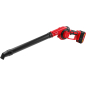 Воздуходувка аккумуляторная WORTEX LX BB 1518-1 D XLT SET (1334644) - Фото 11