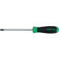 Отвертка Torx T25 TOPTUL (FFAB2510)