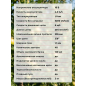 Пила цепная аккумуляторная WORTEX CEC 2518-3 ALL1 XLT SOLO (2325003) - Фото 15