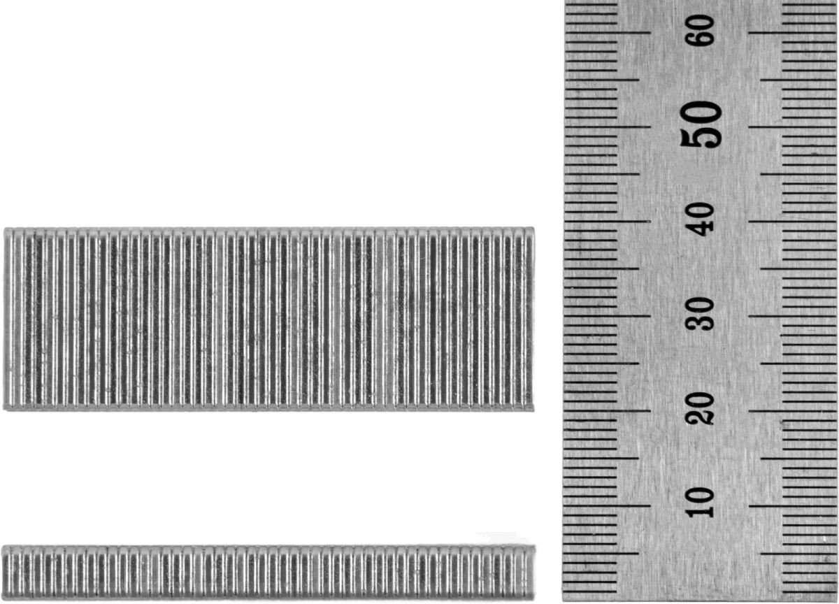 Скобы 20 мм 19GA 1000 штук WORTEX (1335959) - Фото 6