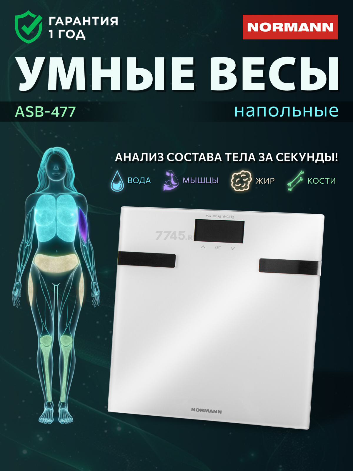 Весы напольные ASB-477 NORMANN (N16025-2)