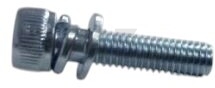 Винт M5х40 с шайбой и гровером для бензокосы 43/52см3 RIPARTS (GTP-SM5*40)