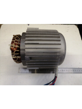 Двигатель в сборе для насоса ECO DP-606 (106390)