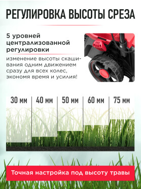 Газонокосилка аккумуляторная WORTEX CLM 3336 XLT SOLO 