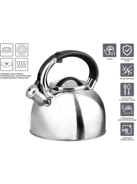 Чайник со свистком PERFECTO LINEA Assam 3 л 